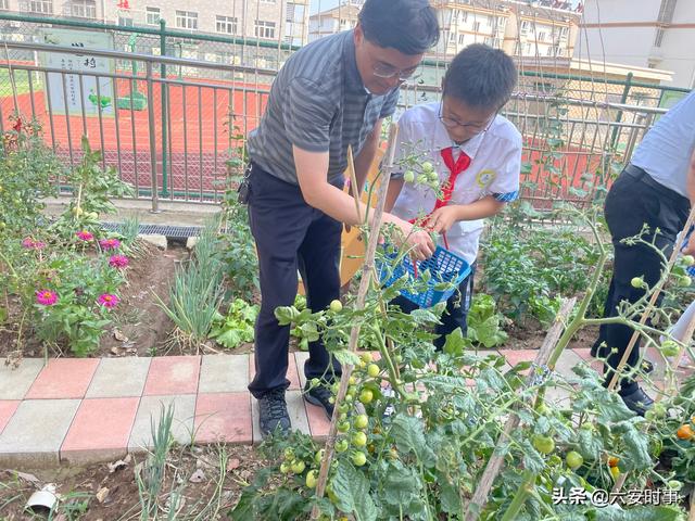 采摘活动英语（采摘活动照片）