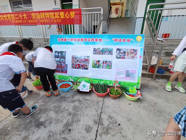 采摘活动英语（采摘活动照片）