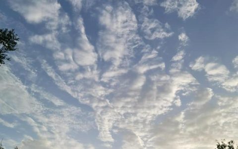 回馈新老客户优惠活动宣传语图片（回馈新老客户优惠活动宣传语中餐店）