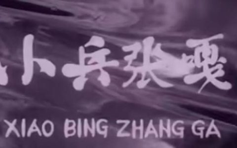 小兵张嘎故事梗概400字作文（小兵张嘎的故事梗概400字）