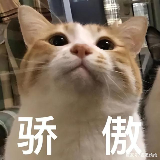个人目标与组织目标无法协调（个人目标应当无条件服从于组织目标）