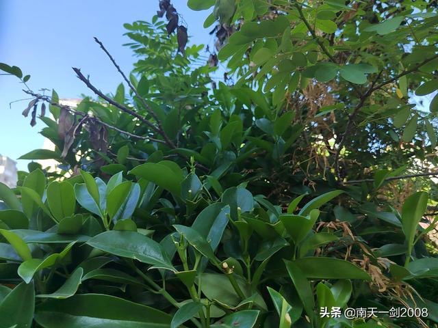 即景作文400字左右五年级（什么什么即景作文400字左右）