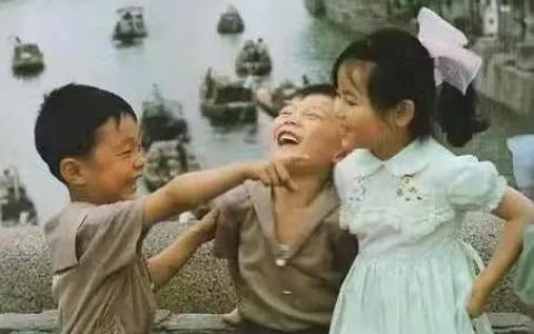 节日作文500字作文（一个难忘的传统节日作文500字）