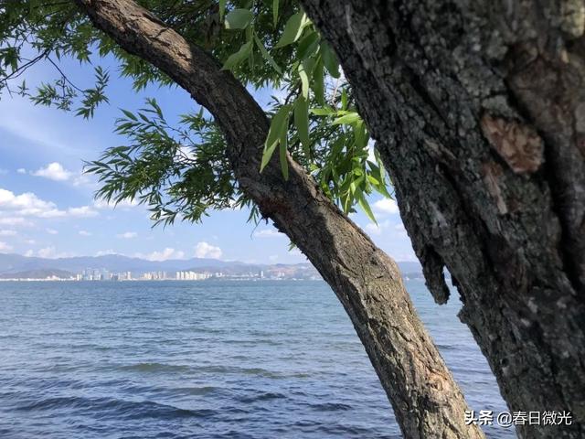 中班幼儿成长点滴记录（高中综合素质评价点滴记录）