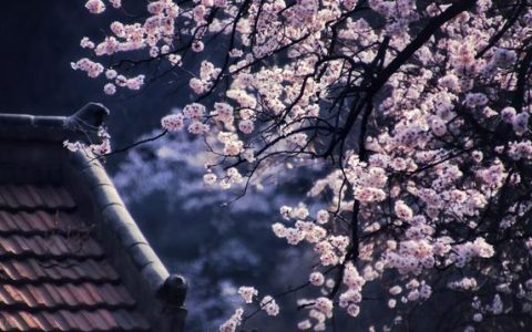 春雨日记300字三年级（春天的雨日记三年级200字）