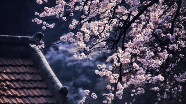 春雨日记300字三年级（春天的雨日记三年级200字）