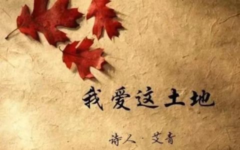 仿写我爱这土地假如我是一朵云（我爱这仿写我爱这土地）