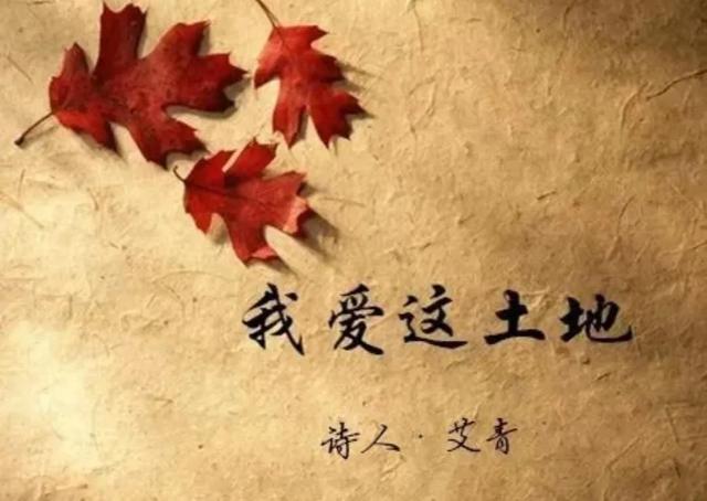 仿写我爱这土地假如我是一朵云（我爱这仿写我爱这土地）