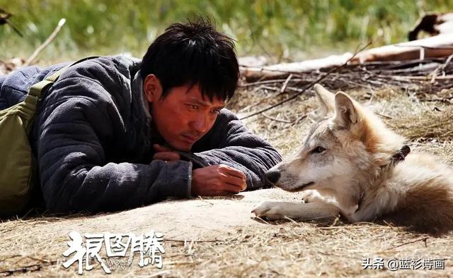 狼图腾读书笔记摘抄好词好句（狼图腾读书笔记3000字）
