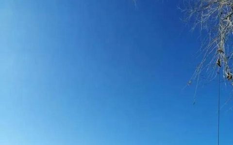 坚守本心的唯美句子（坚守本心下一句是什么）