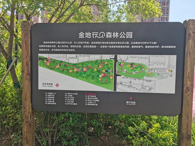 春游活动主题标语（春游活动英语）