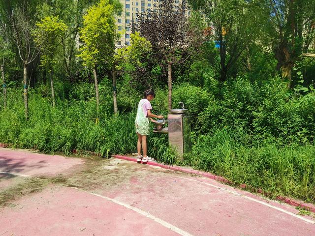 春游活动方案策划范文（春游活动方案策划幼儿园）