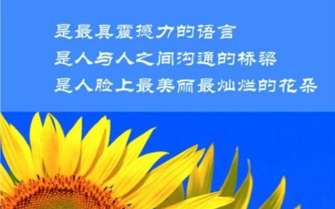 带着微笑出发作文（带着微笑出发800字叙事作文）