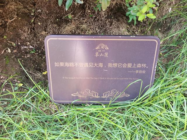 春游活动方案策划范文（春游活动方案策划幼儿园）