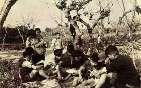 集体的力量来源于什么七下政治（集体的力量是无穷的,只要大家共同努力,总会想到办法的）