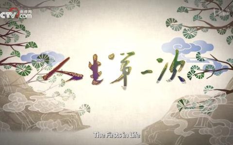 纪录片观后感怎么写和示范（纪录片观后感800字作文）