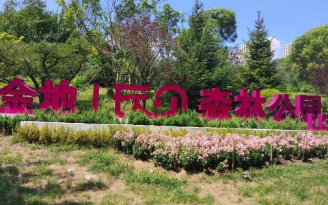 春游活动主题标语（春游活动英语）