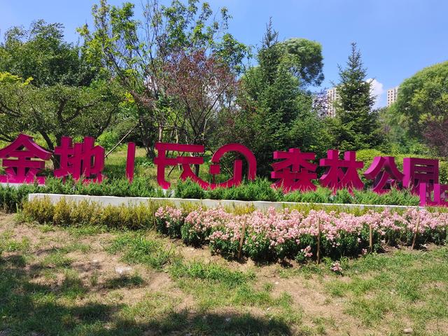 春游活动方案策划范文（春游活动方案策划幼儿园）