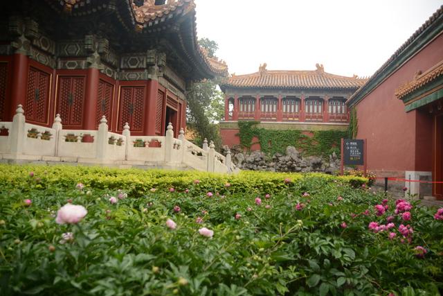 故宫导游图(故宫导游词500字)