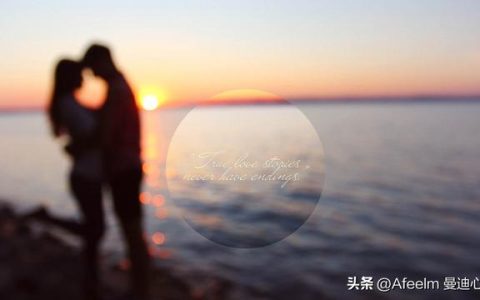 成功的代价作文指导（成功的代价作文冬季奥运会）