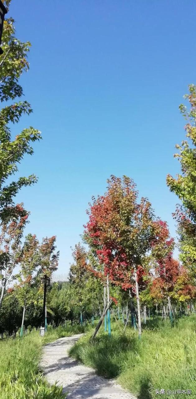 什么的笑容填合适词语，什么的笑容填合适词语二年级