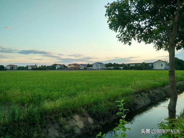 天籁之音造句六年级，天籁之音造句六年级简短！