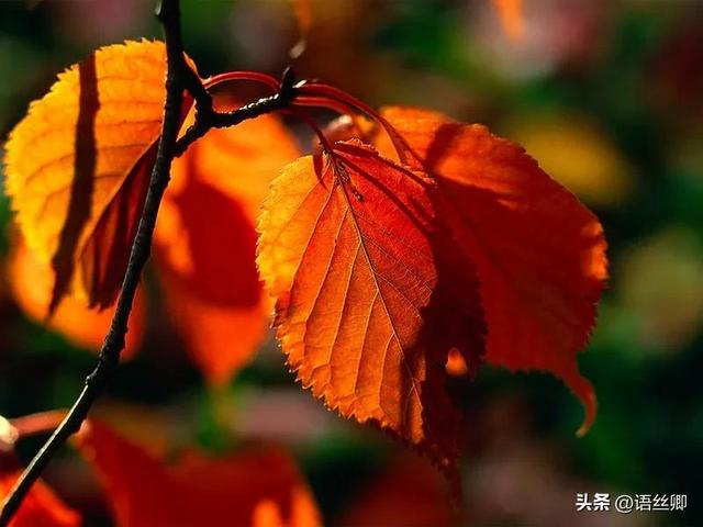 九月再见图片，八月你好九月再见图片
