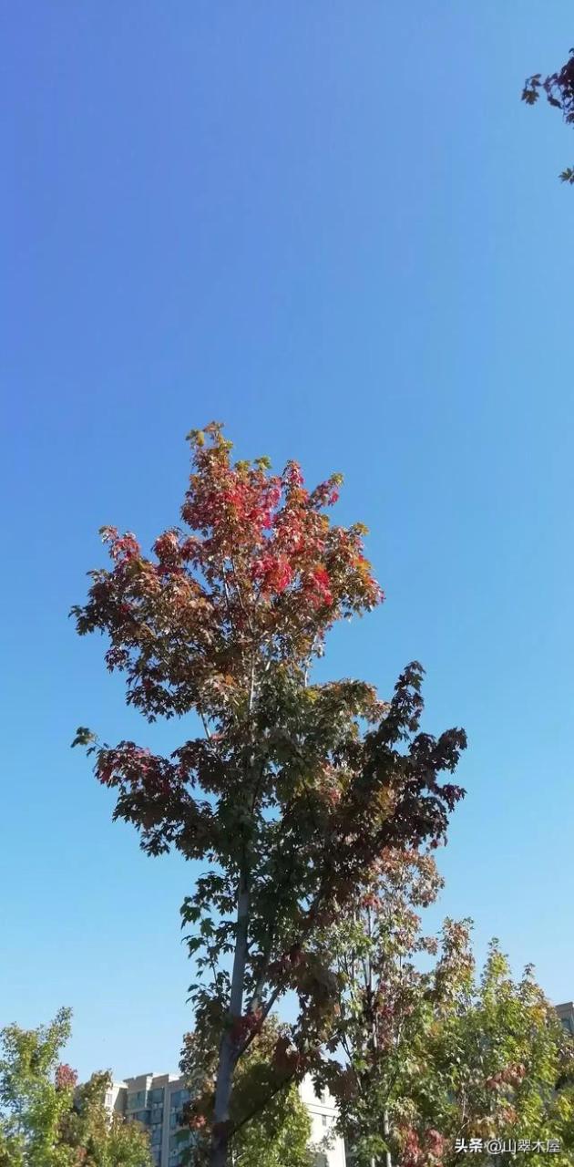 什么的笑容填合适词语，什么的笑容填合适词语二年级
