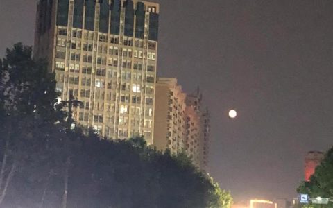 今年的对联有哪些，今年的对联有哪些少字