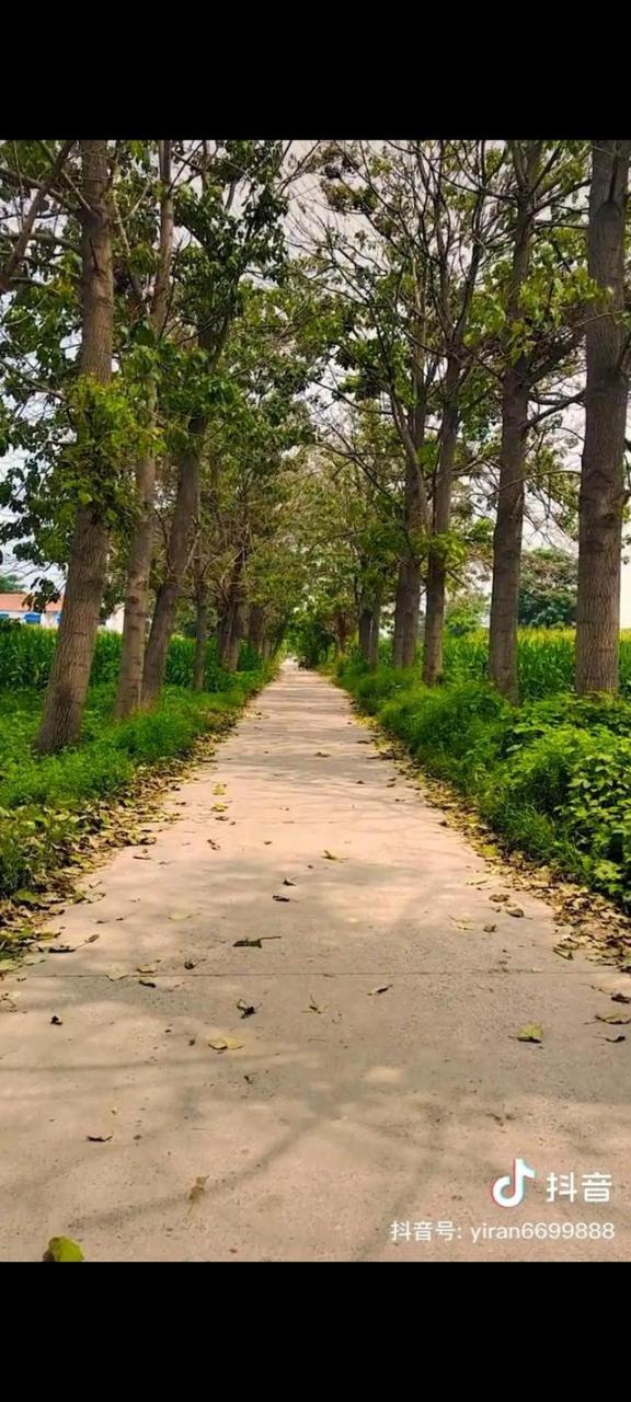 什么时候最容易受孕早上还是晚上，什么时候最容易受孕生男孩