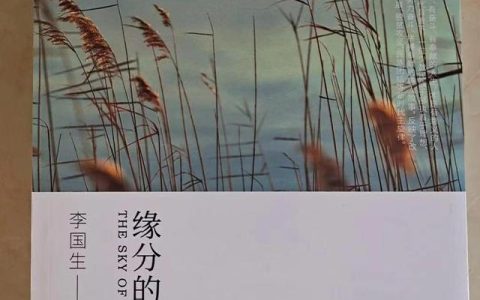 读简爱有感800字初三，读简爱有感800字作文