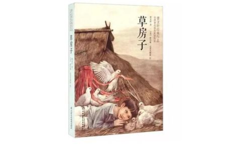 草房子桑桑人物特点，草房子桑桑人物特点具体事例