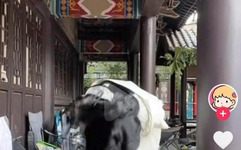 大爷头上插刀淡定就医，刀插在头上淡定排队看医生