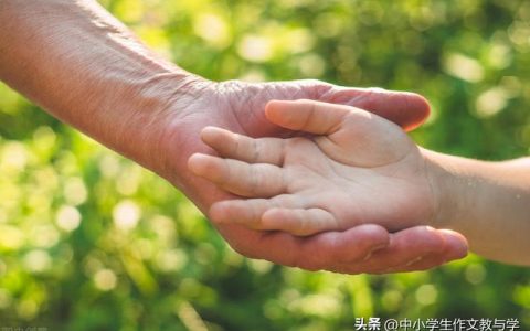 珍惜的作文600字，值得珍惜的作文600字