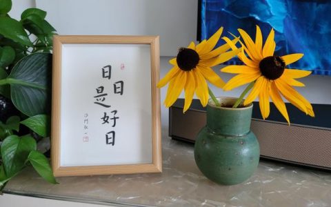 生命的动力来自于什么，生命的动力来自于什么科学！