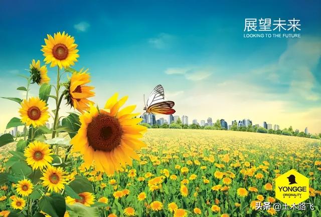 《工程人在路上》连载（第四章毕业设计）