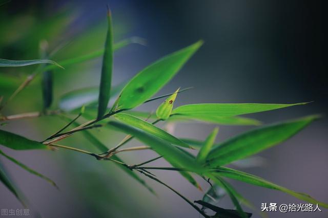 安于现状是什么意思，不甘现状又安于现状是什么意思