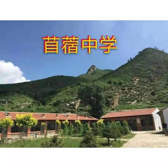 走过作文600字初中，与什么一起走过作文600字初中