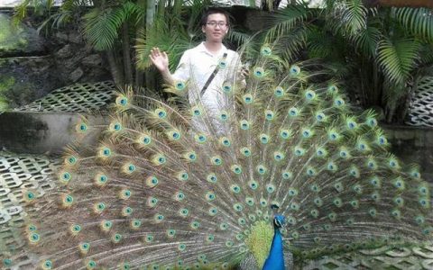 外贸小白的逆袭之路_第八份工作(忍痛割爱)
