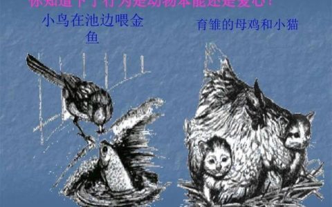 二十年后的我五年级作文500字免费，二十年后的我五年级作文500字画家！