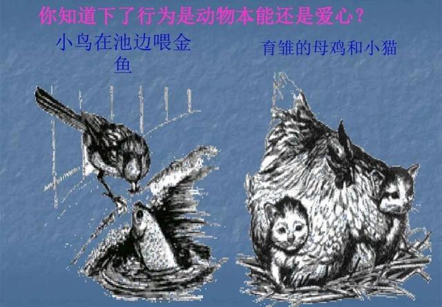 二十年后的我五年级作文500字免费，二十年后的我五年级作文500字画家！