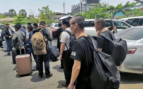 法国的谚语，法国人常说的这就是生活！