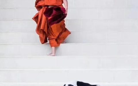 表白的诗句，表白的诗句给女生！