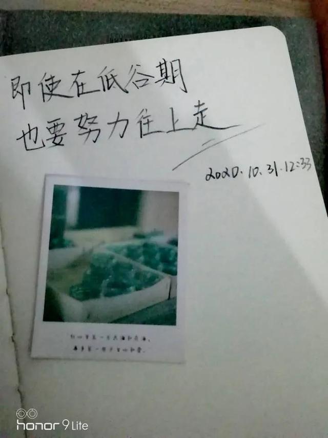 我的过去现在和未来心理健康论文作文，自己的过去现在和未来论文！