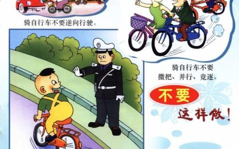 交通安全心得体会300字，铁路交通安全心得体会300字！