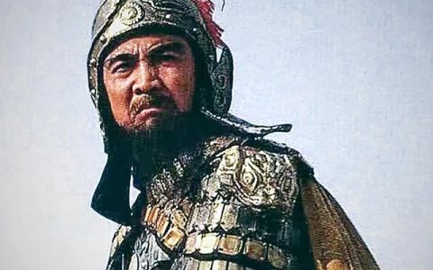 对曹操的评价100字作文，曹操评价1000字！