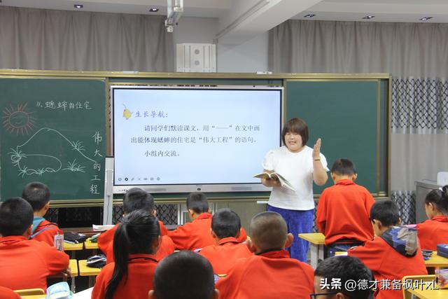 蟋蟀的住宅_评课稿，蟋蟀的住宅评课与反思！