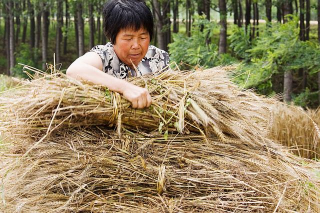 二十年后的自己作文500字免费，写给二十年后的自己作文500字！