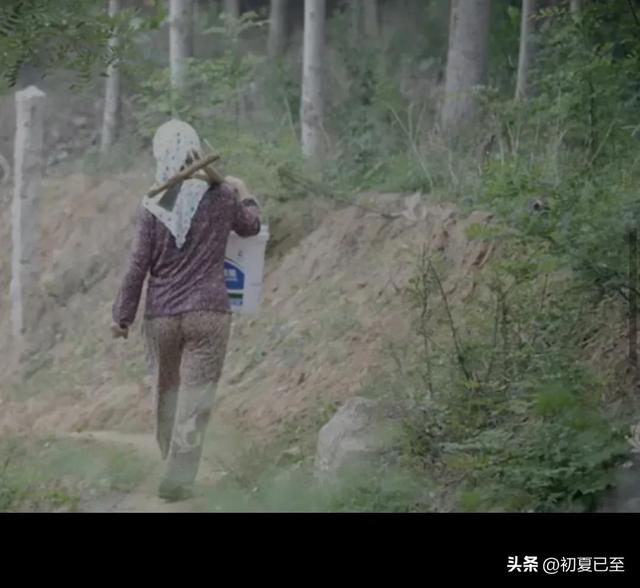 儿时文章（三），儿时记忆，我的母亲