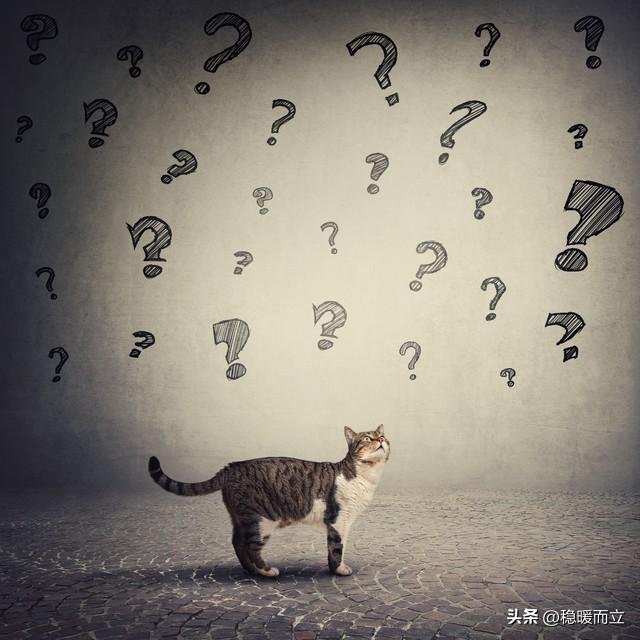 我妈的闺蜜，离开前，坦然说“活够了！”